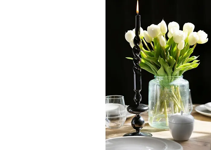 Апартаменты Elite Ogarna Old Town *